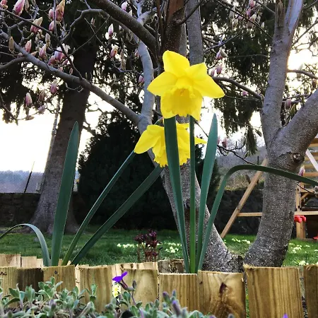 Holiday home Ardeche2coeur Marcols-les-Eaux